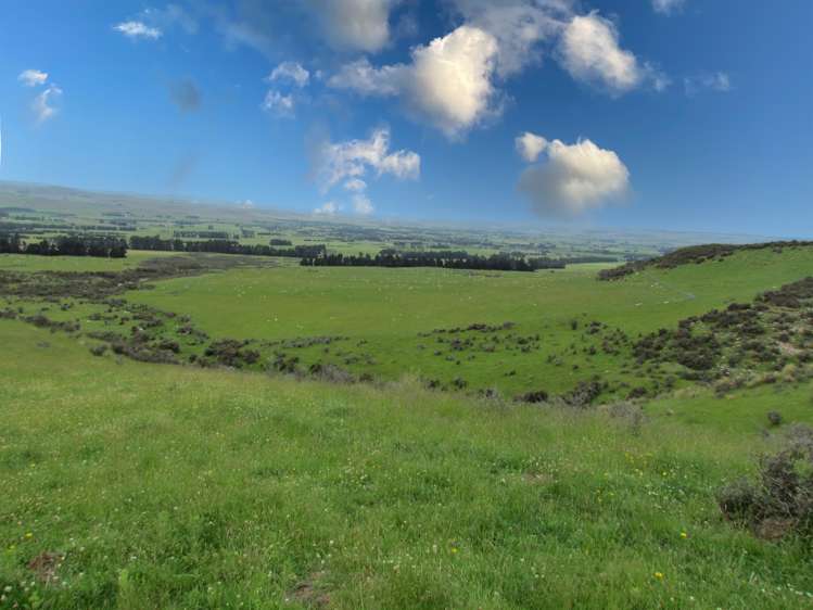 78 Mckinnon Road Middlemarch_6