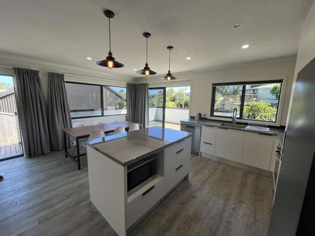 12 Whakawhiti Street Marfell_3