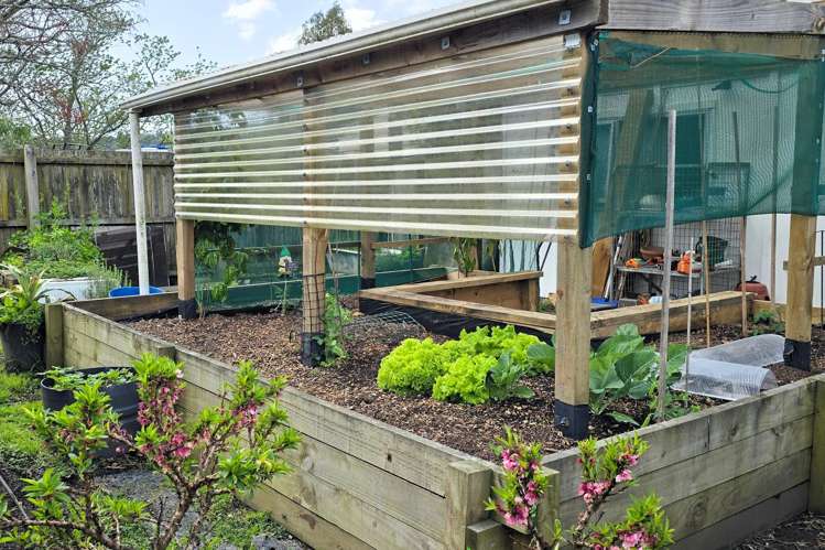 12a Lord Cobham Avenue Whakatane_26