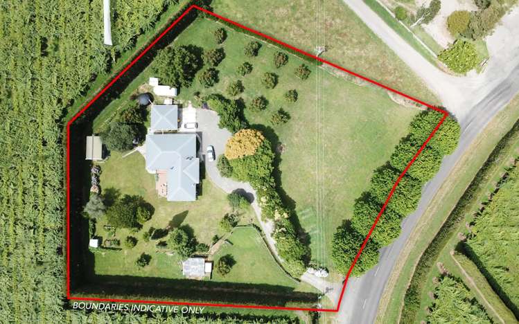 651 Rangiuru Road Te Puke_3