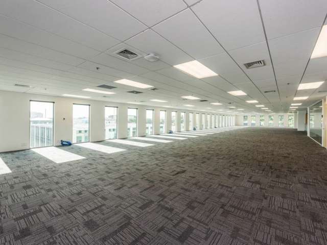 16 Normanby Road Mount Eden_1