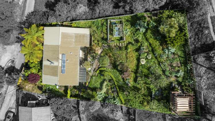 31 Toi Toi Street Toi Toi_12