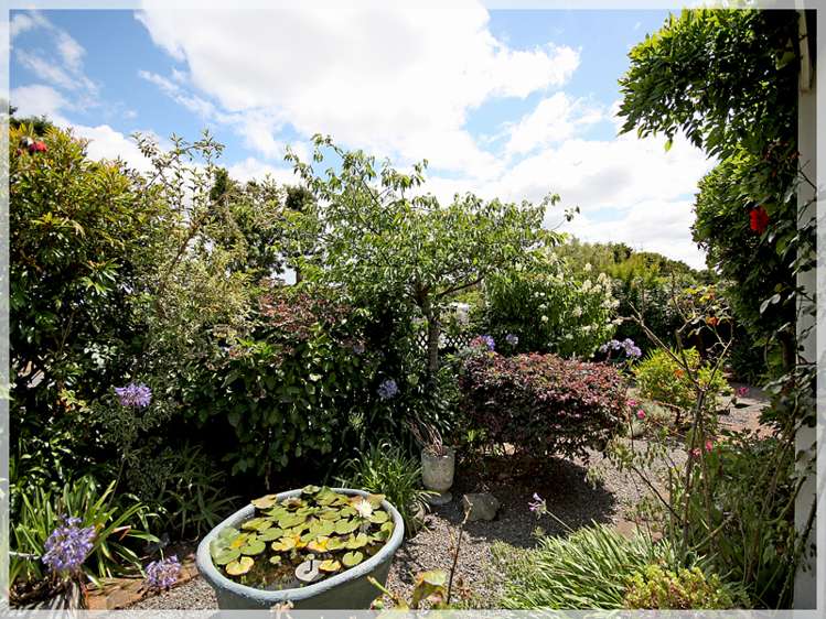 40 Cambridge Street Levin_19