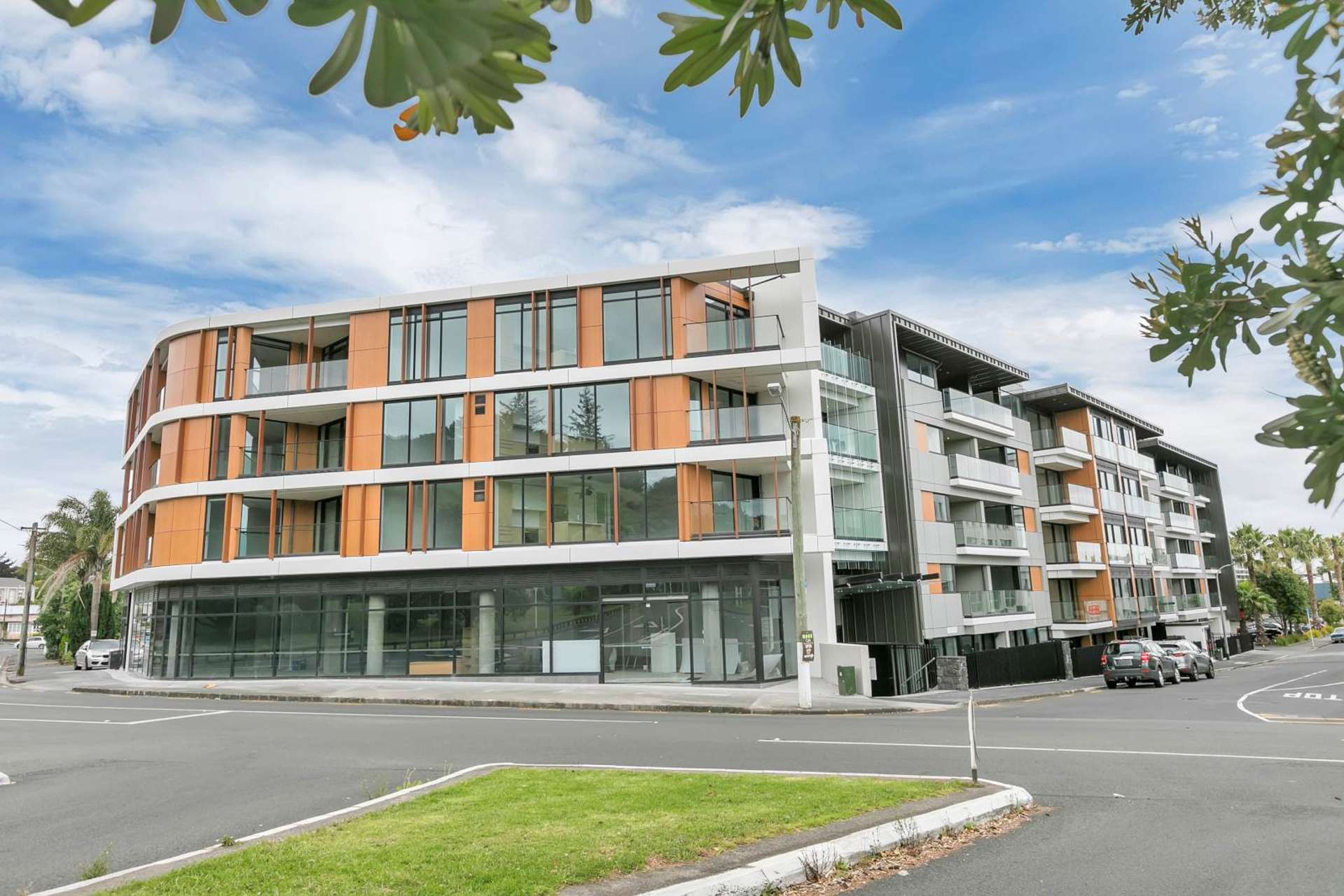 419/43 Edwin Street Mount Eden_0