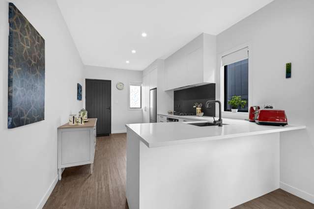 6 Canna Street Flat Bush_3