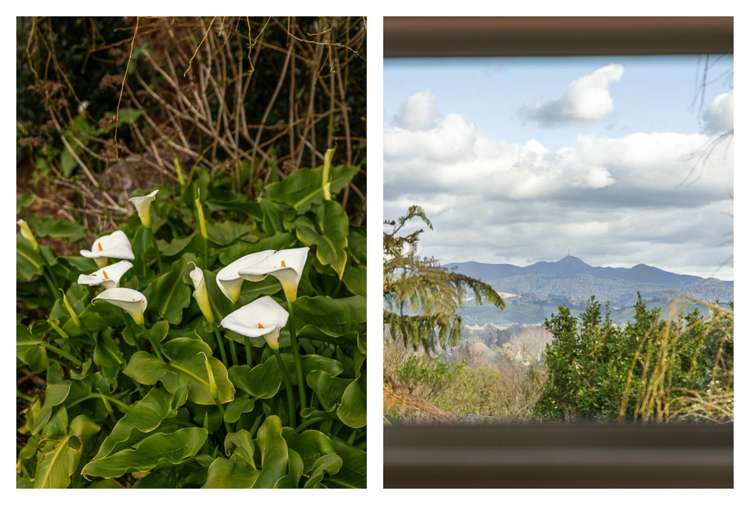 102 Savage Road Waihi_28