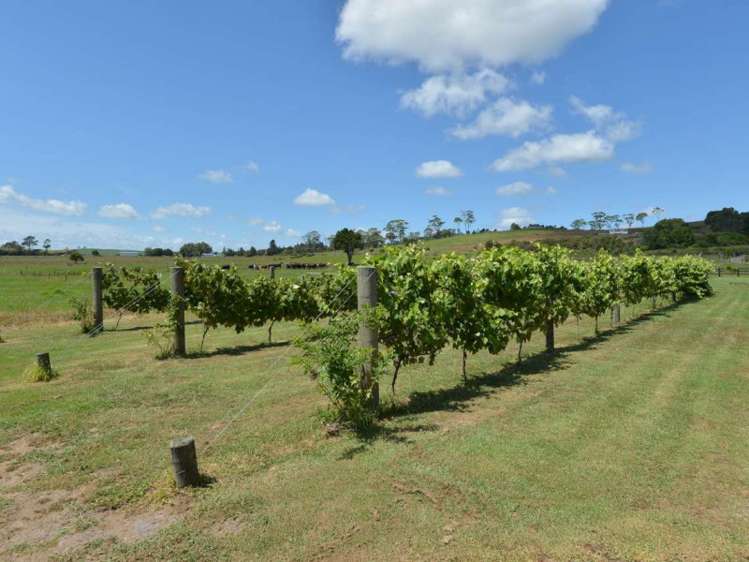 82 Kerehunga Road Poroti_15