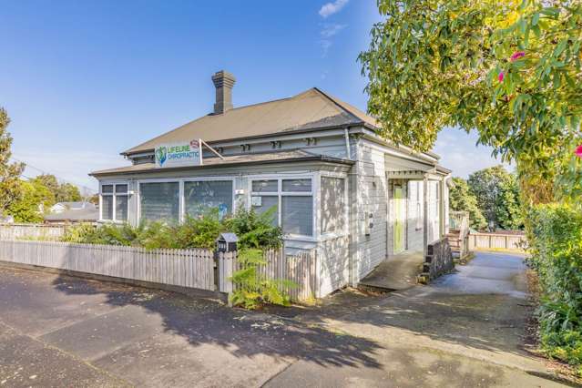 161 Dominion Road Mount Eden_1