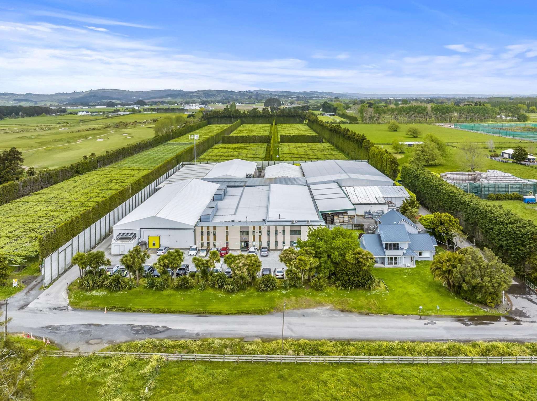 Top kiwifruit facility promises golden investment