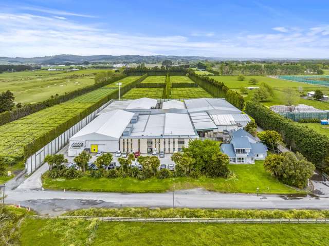 Top kiwifruit facility promises golden investment