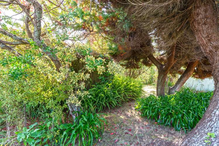87 Kahikatea Flat Road Dairy Flat_20