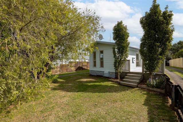 58 Rodney Street Nawton_2