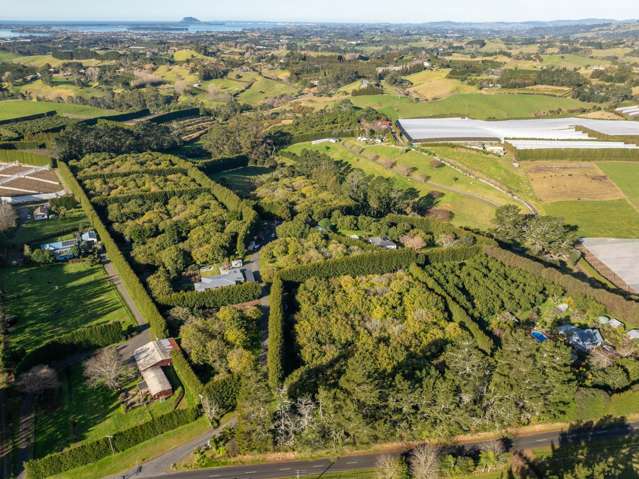 261 Wainui South Road Whakamarama_3