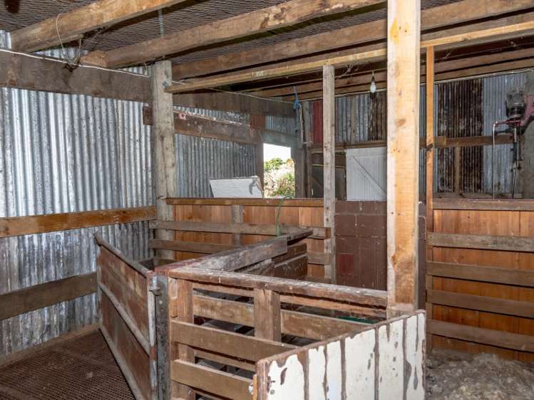 580 Hughes Line Carterton_23