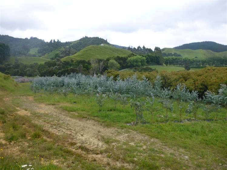 336 Wentworth Valley Road Whangamata_22