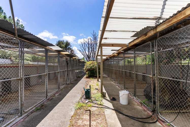 2C Kaitoke Loop Road Kaitoke_20