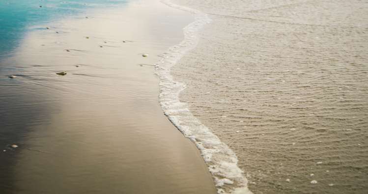 205 Rocking Horse Road Southshore_23