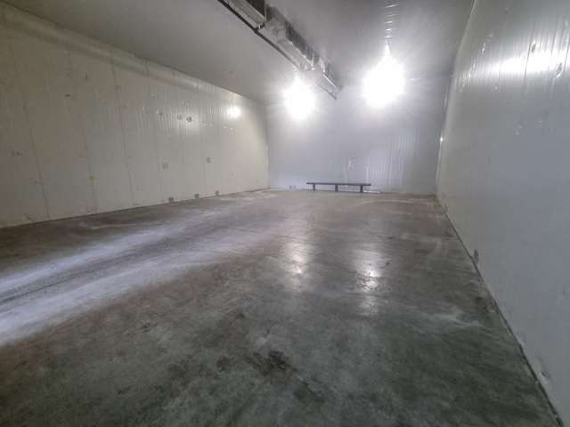 6A Te Puni Street Petone_2