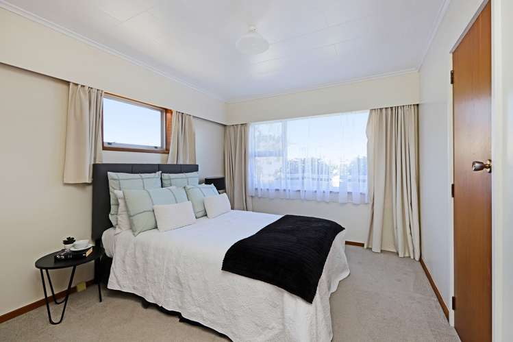 20 Southwark Avenue Tamatea_15
