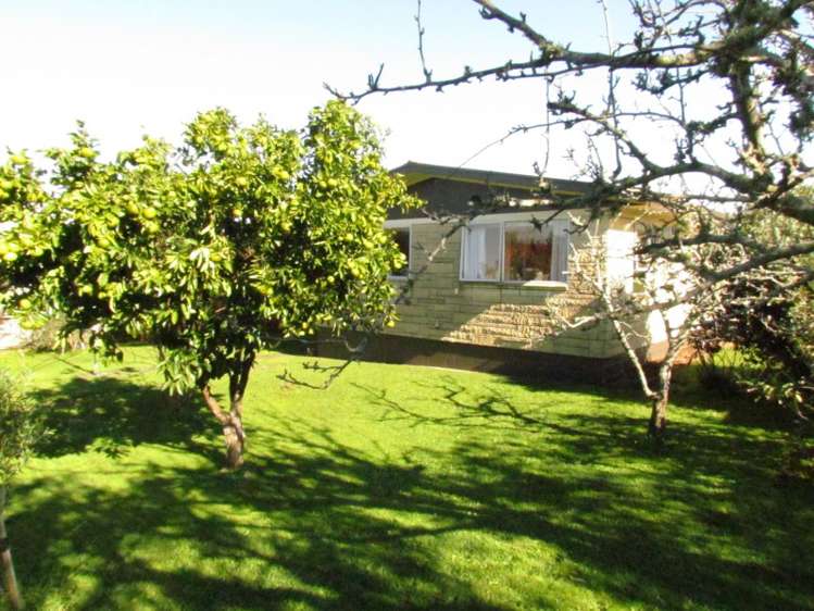 10 Walker Street Waihi_4