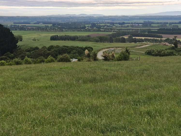 137 Kahikatea Drive Winton_11