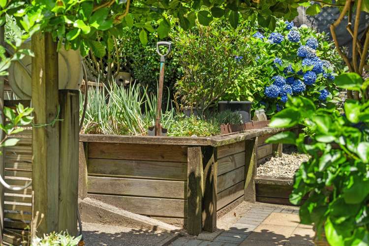 250 Castlewold Drive Bethlehem_18