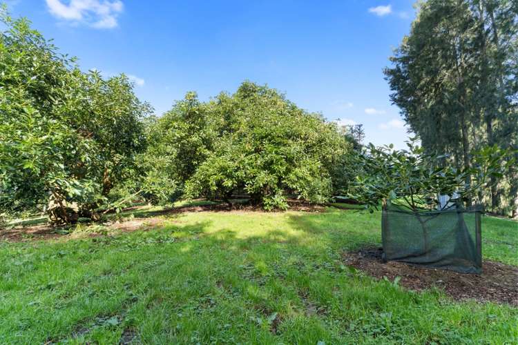 12 Timon Drive Hauraki Surrounds_9