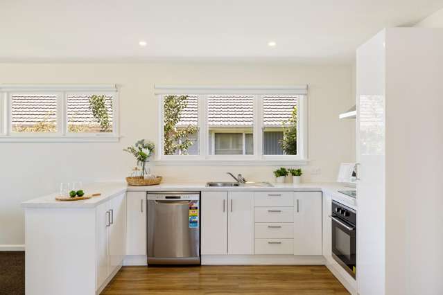 47 Emlyn Place Avondale_2