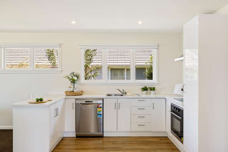 47 Emlyn Place Avondale_2