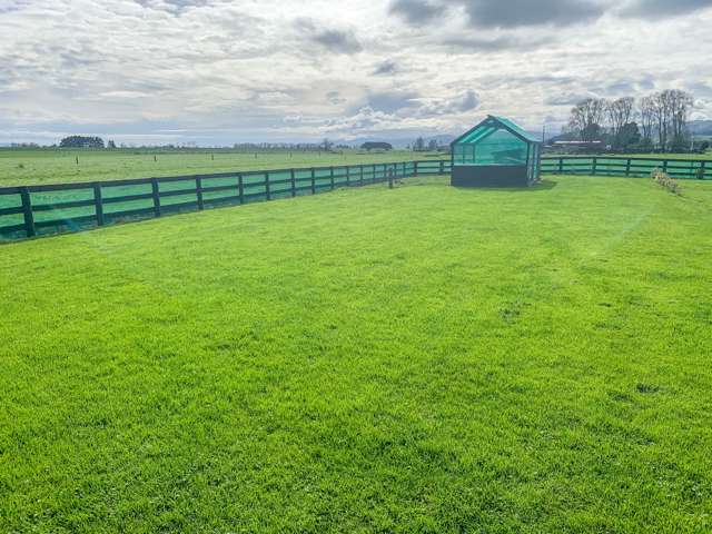 1 Morgan Road Paeroa_4