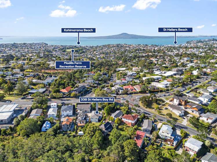 338 Saint Heliers Bay Road Saint Heliers_22