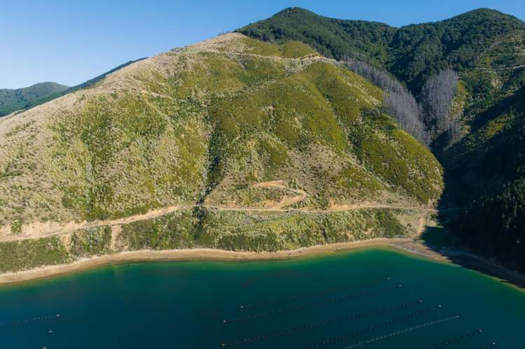 815 Manaroa Road Marlborough Sounds_29