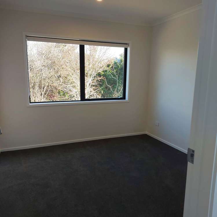 193 Tanners Point Road Katikati_10