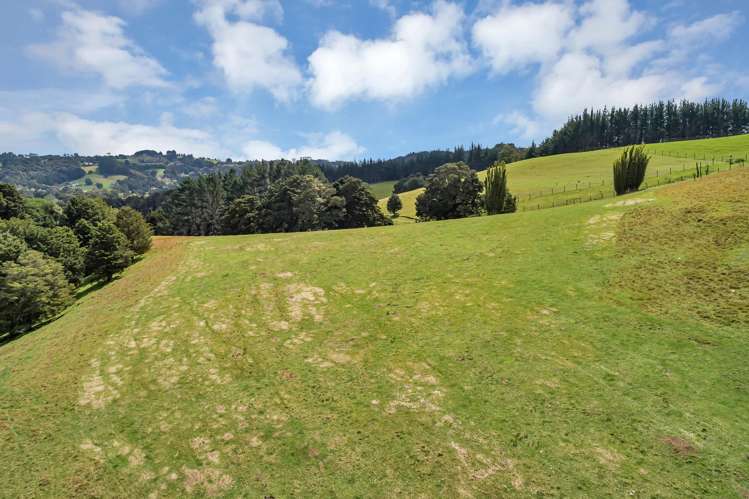Lot 1, 106 Totara Park Lane Glenbervie_10