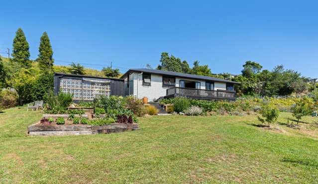 70 Saxton Road Upper Vogeltown_2