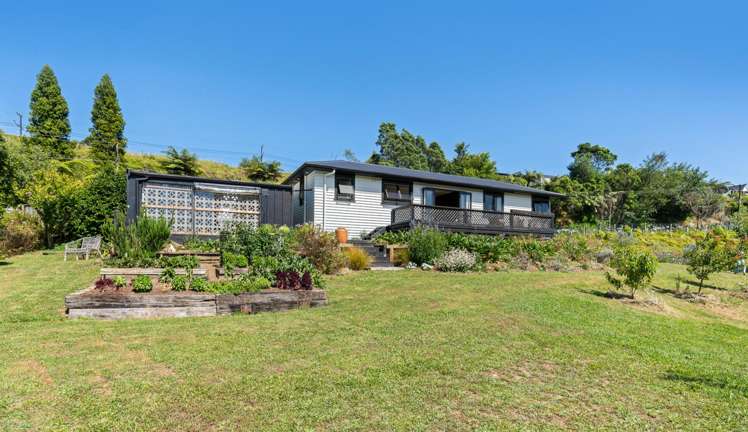 70 Saxton Road Upper Vogeltown_2