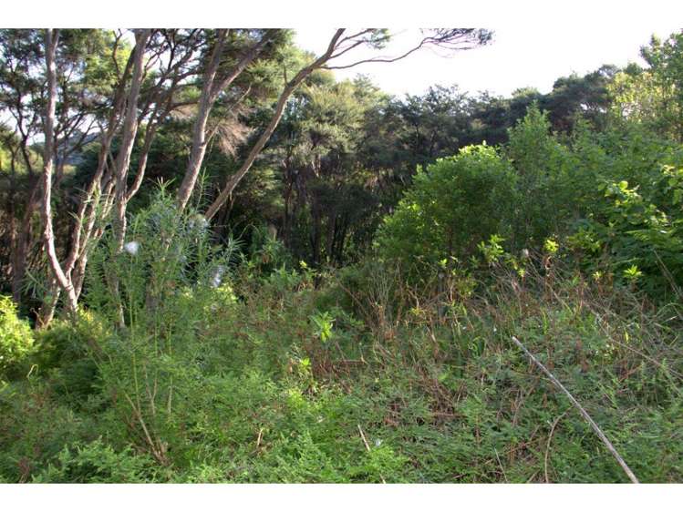 26 Okoka Road Omiha_4