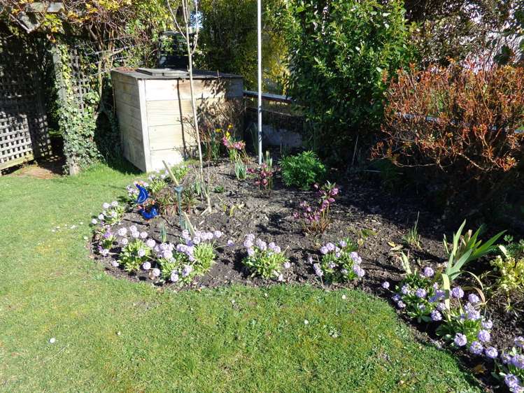 19 Edinburgh Place Balclutha_15