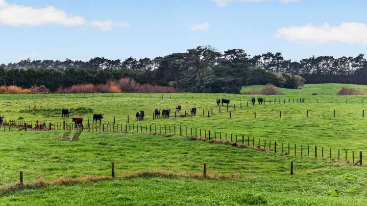 89 Park Road Waiuku_8