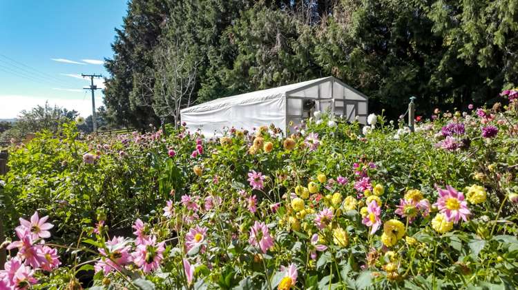 510 Smedley Road Tikokino_22