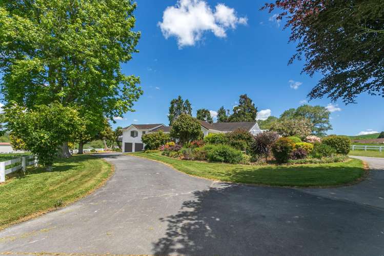 774 Buckland Road Matamata_22