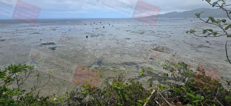 Address withheld Savusavu_8