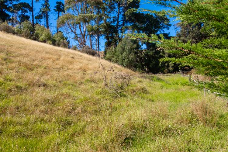 166 Dry Hills Lane Riverlands_14