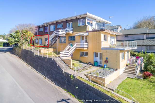 3/1243 Victoria Street Whitiora_3