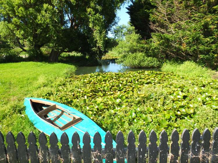 26 Stewart Street Foxton_16