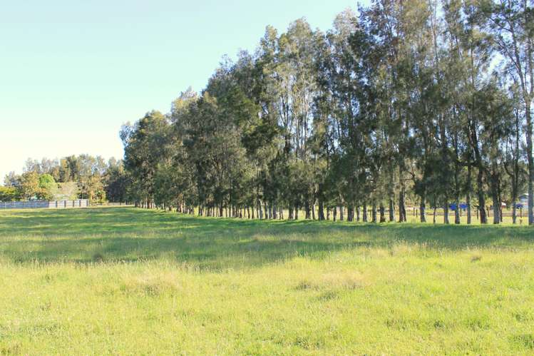 3b Macadamia Lane Kerikeri Surrounds_0