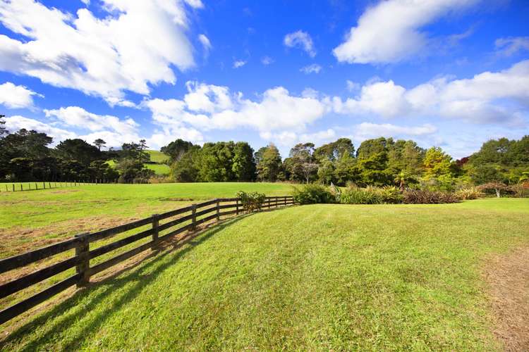 236 Blackbridge Road Dairy Flat_25