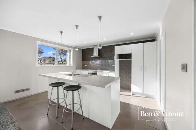 147E Princes Street East Otahuhu_1