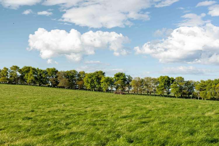 Rowallan Road Darfield_34