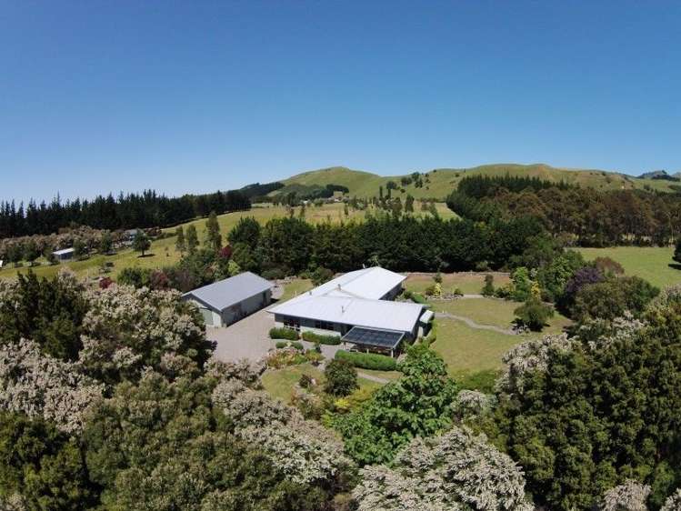 617 Norfolk Road Upper Plain_26